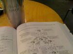 20100808-starbucks-pedishiodome-2.jpg