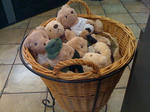 20100905-tullys-ns-2.jpg