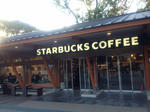 20121027-starbucks-uenopark-1.jpg