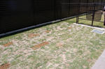 20130507.JPG