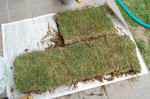 20130519-2.JPG