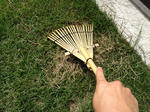 s-201306xian.jpg