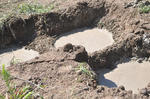 20130827_144958.jpg