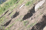 20130827_145008.jpg