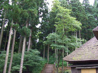 伝承館のあたり