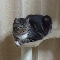 ちょうどいい