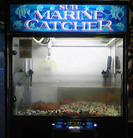 MARINE CATCHER