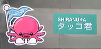 タッコ君