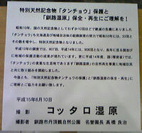 コッタロ湿原