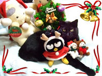 クリスマスちゅび使用後