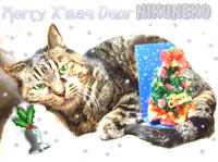クリスマスきっこ使用後