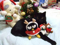 クリスマスちゅび使用前