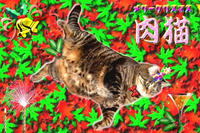肉猫