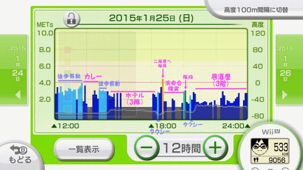 フィットメーターの記録　1月25日午後