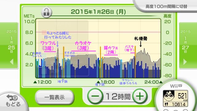 フィットメーターの記録 1月26日午後