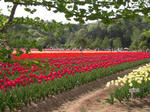 DSCN0312.JPG
