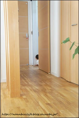 生後7ヶ月★睡眠不足