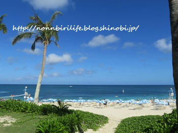 ホテルムーンビーチで過ごした沖縄旅行