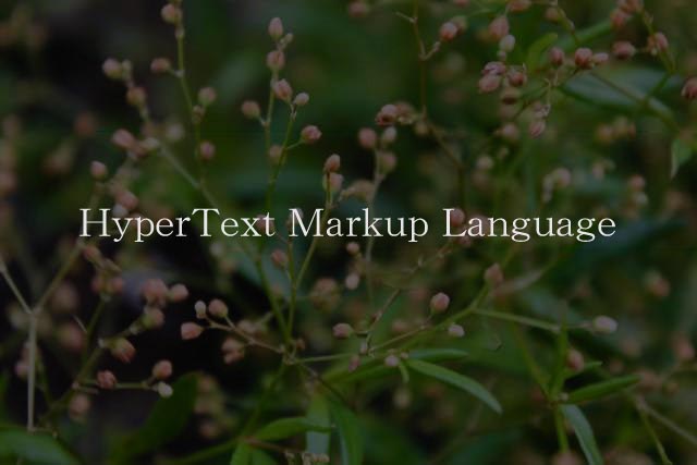 HyperText Markup Language