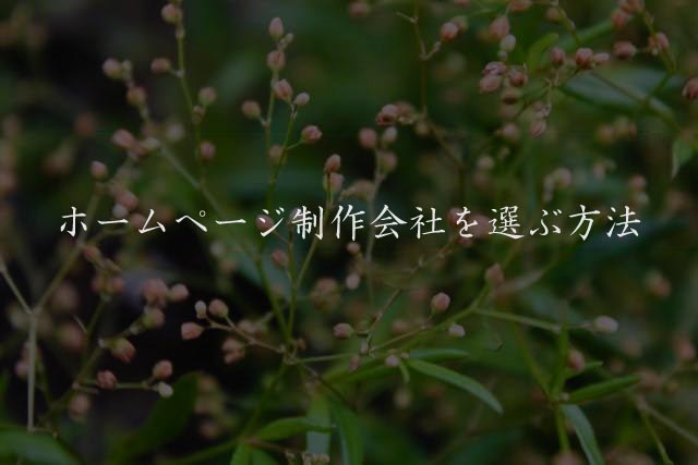 ホームページ制作会社を選ぶ方法