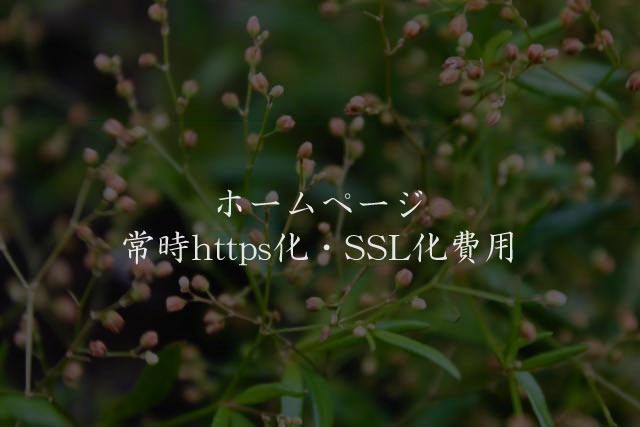ホームページ常時https化・SSL化費用