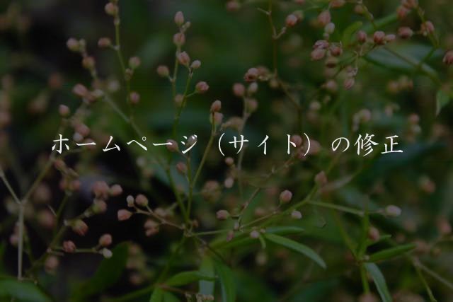 ホームページ（サイト）の修正