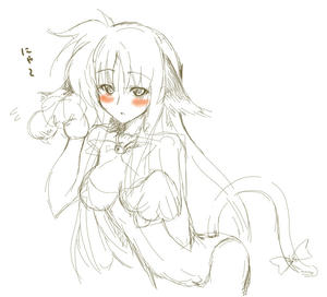 ヌコミミフェイト