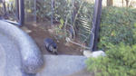 2011121810420000.jpg