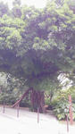 2012021708580001.jpg