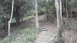 2012022115140000.jpg