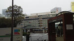 2012032406390000.jpg