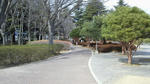 2012032514270000.jpg