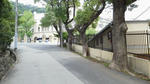 2012062412000000.jpg
