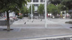 2012080905000000.jpg