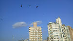 2012112414480000.jpg