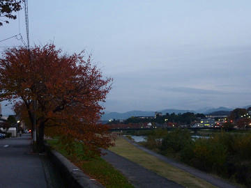 resize1527.jpg