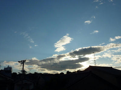 resize3260.jpg