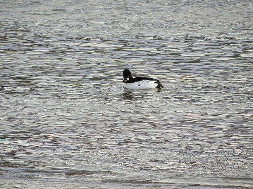 resize3856.jpg