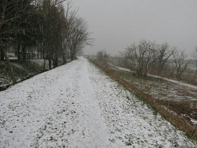 resize4406.jpg