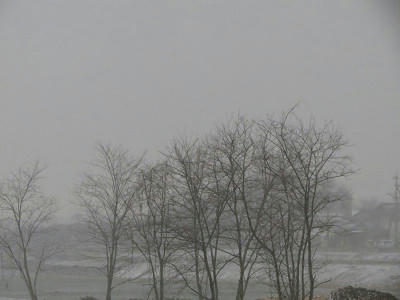 resize4407.jpg