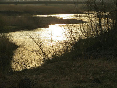 resize4422.jpg