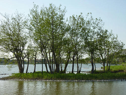 resize4931.jpg