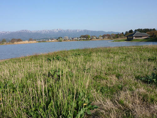 resize4935.jpg