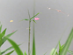resize6067.jpg