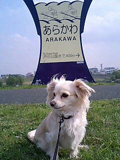 080425_1515~0001.jpg
