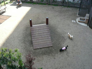 P1030346.JPG