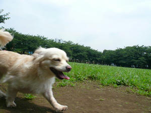 P1040415.JPG