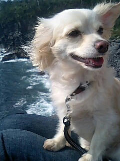 080913_0907~0001.jpg