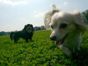 P1050062.JPG