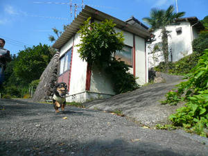 P1050144.JPG